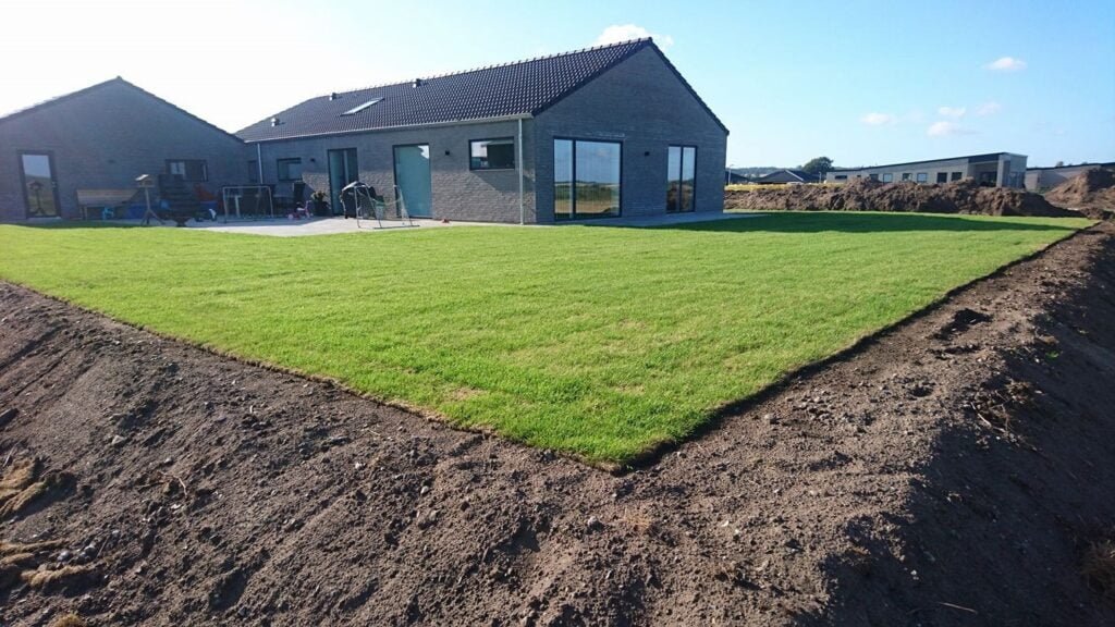 Nyplantet græsplæne ved moderne hus med terrasse
